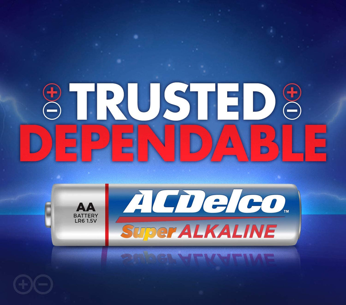 ACDelco AA Batteries, Alkaline Battery, Bulk Pack, 100 Count